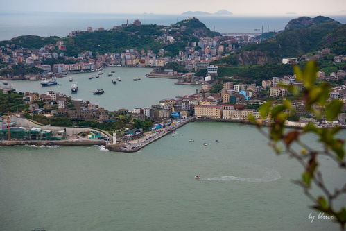 臺州的?！涟雿u